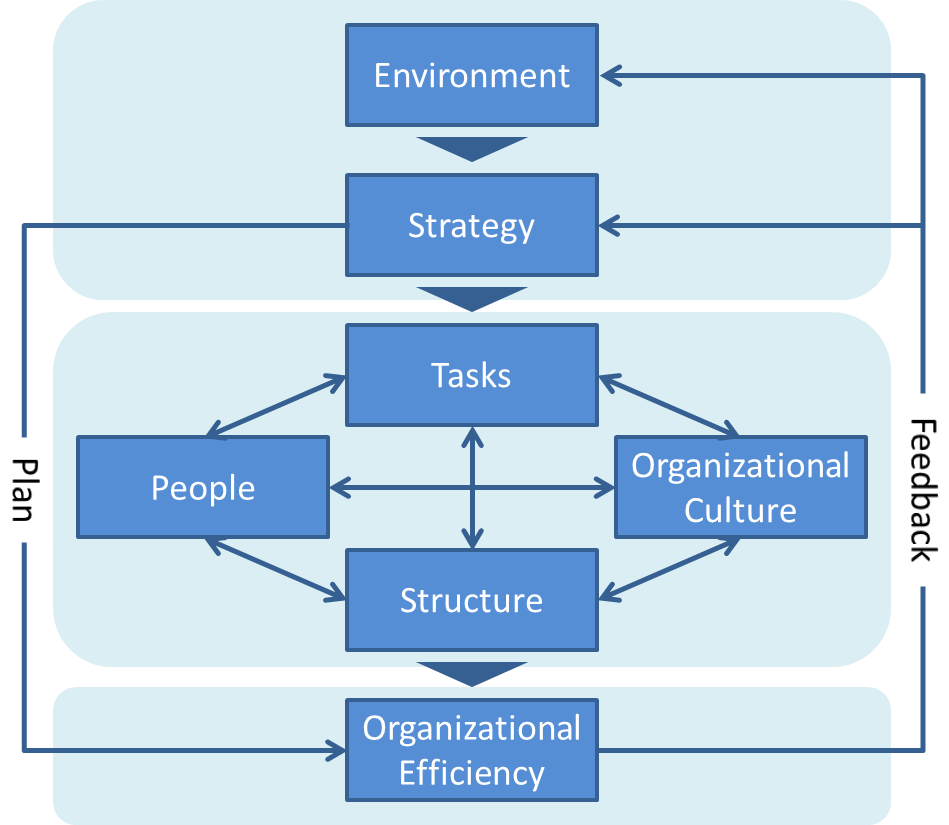 Organization Efficiency Survey